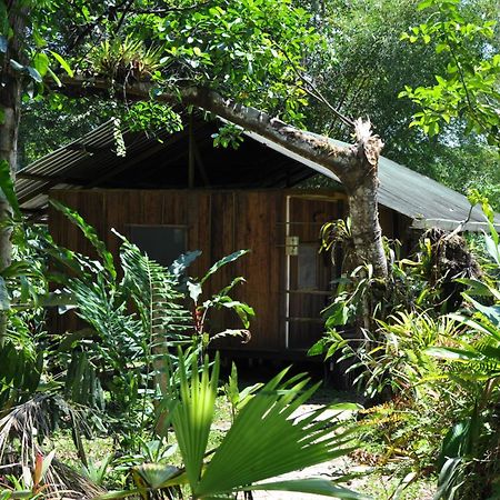 Hakuna Matata Amazon Lodge Archidona Luaran gambar