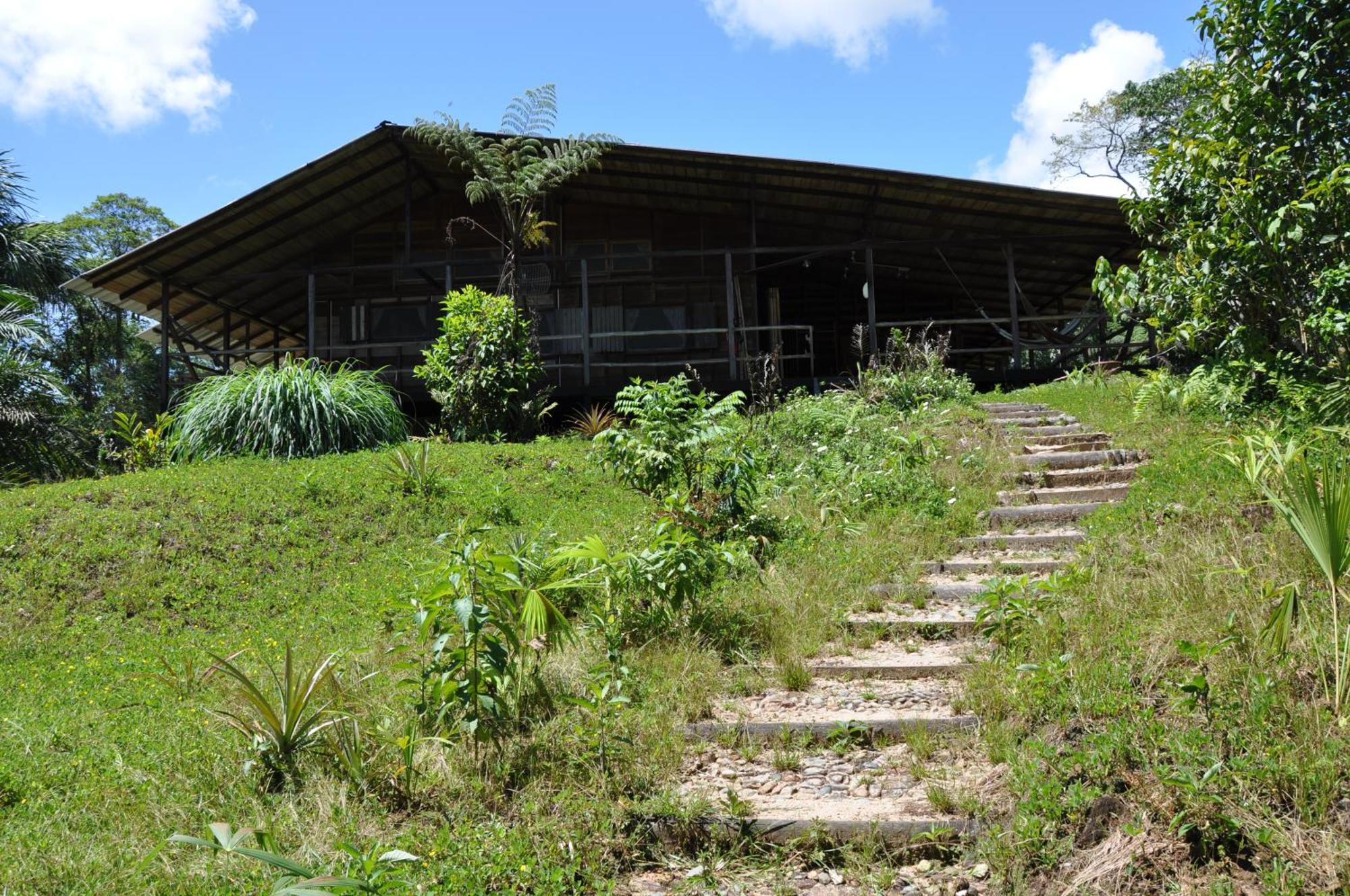 Hakuna Matata Amazon Lodge Archidona Luaran gambar