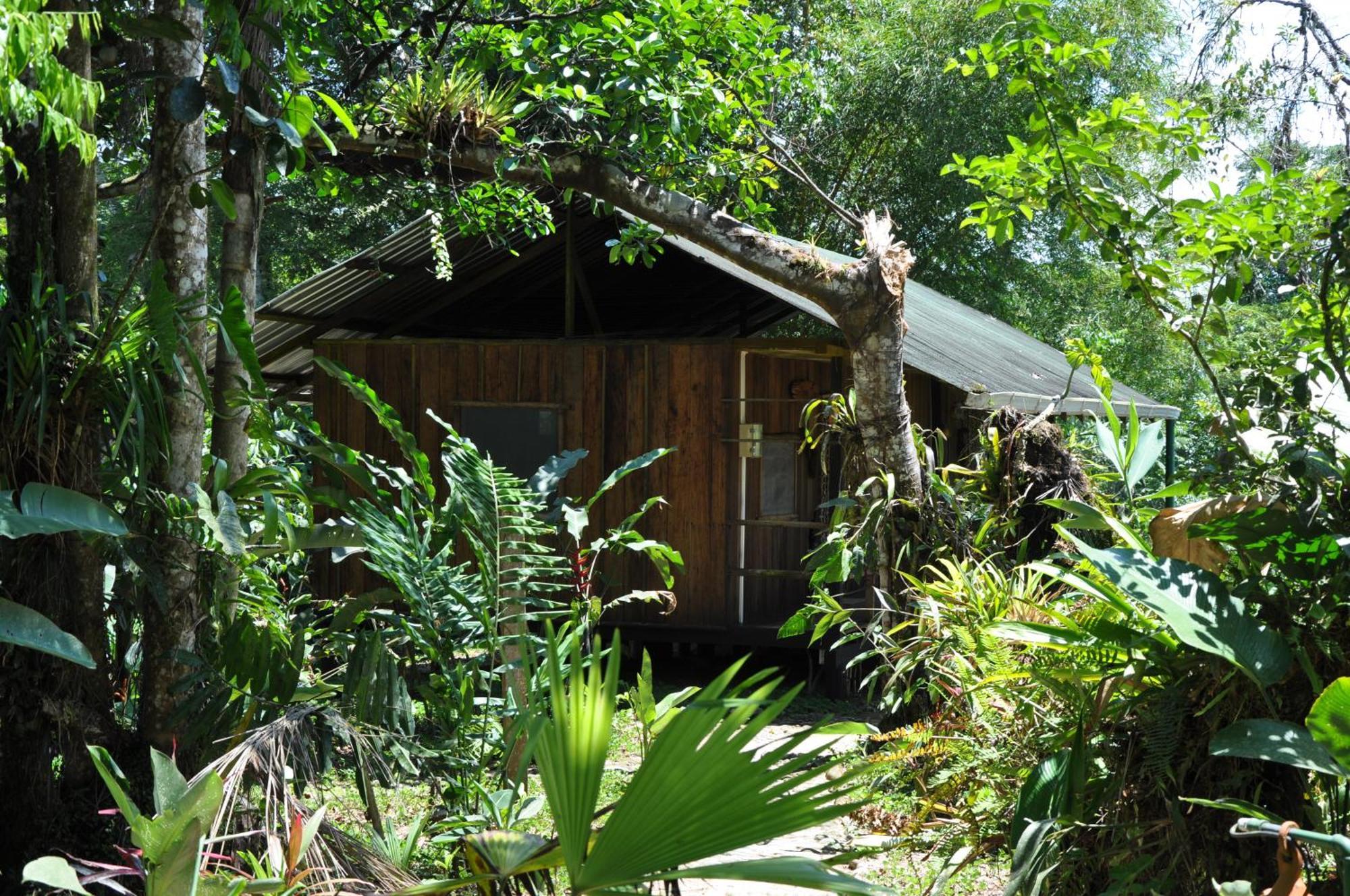 Hakuna Matata Amazon Lodge Archidona Luaran gambar