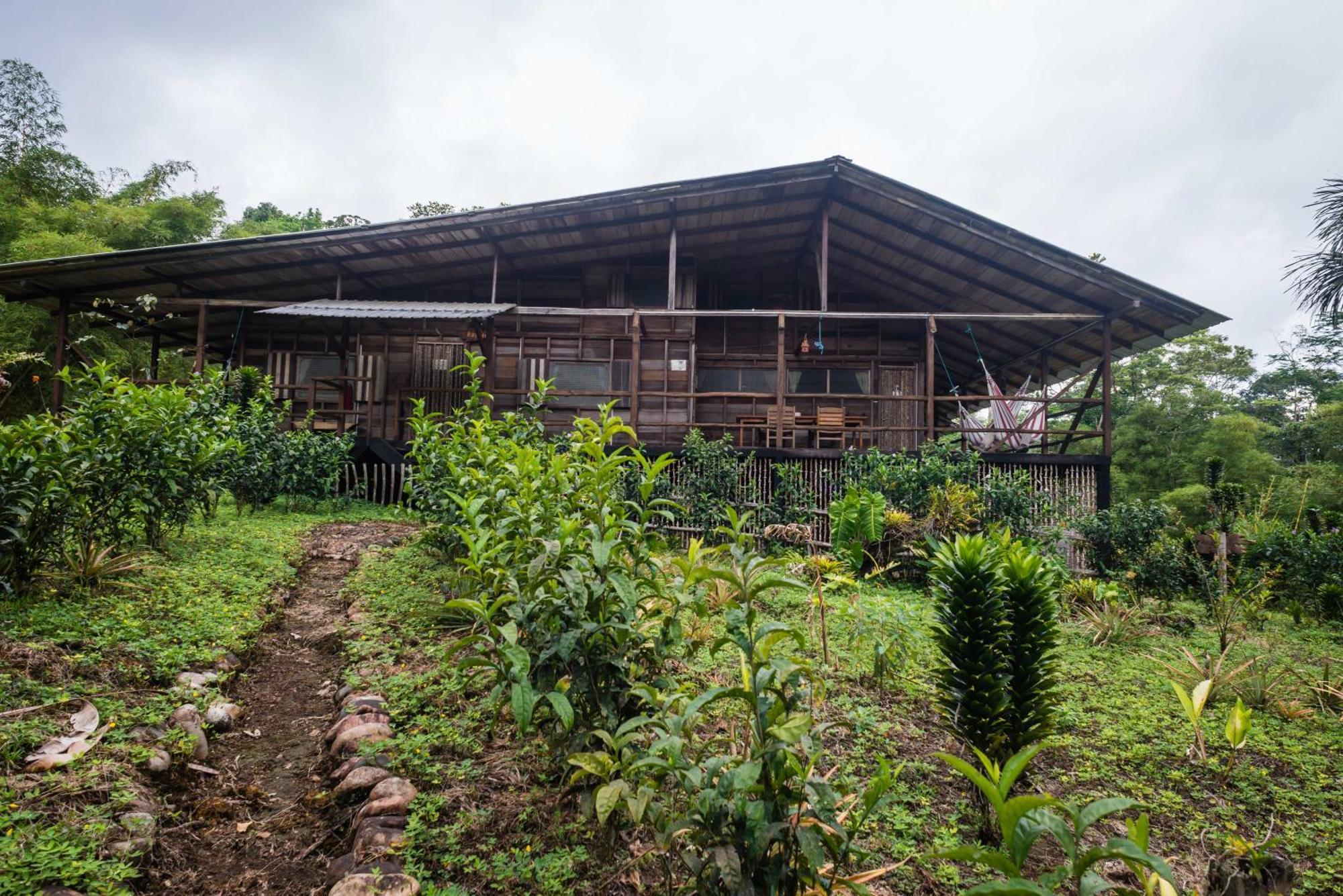 Hakuna Matata Amazon Lodge Archidona Bilik gambar