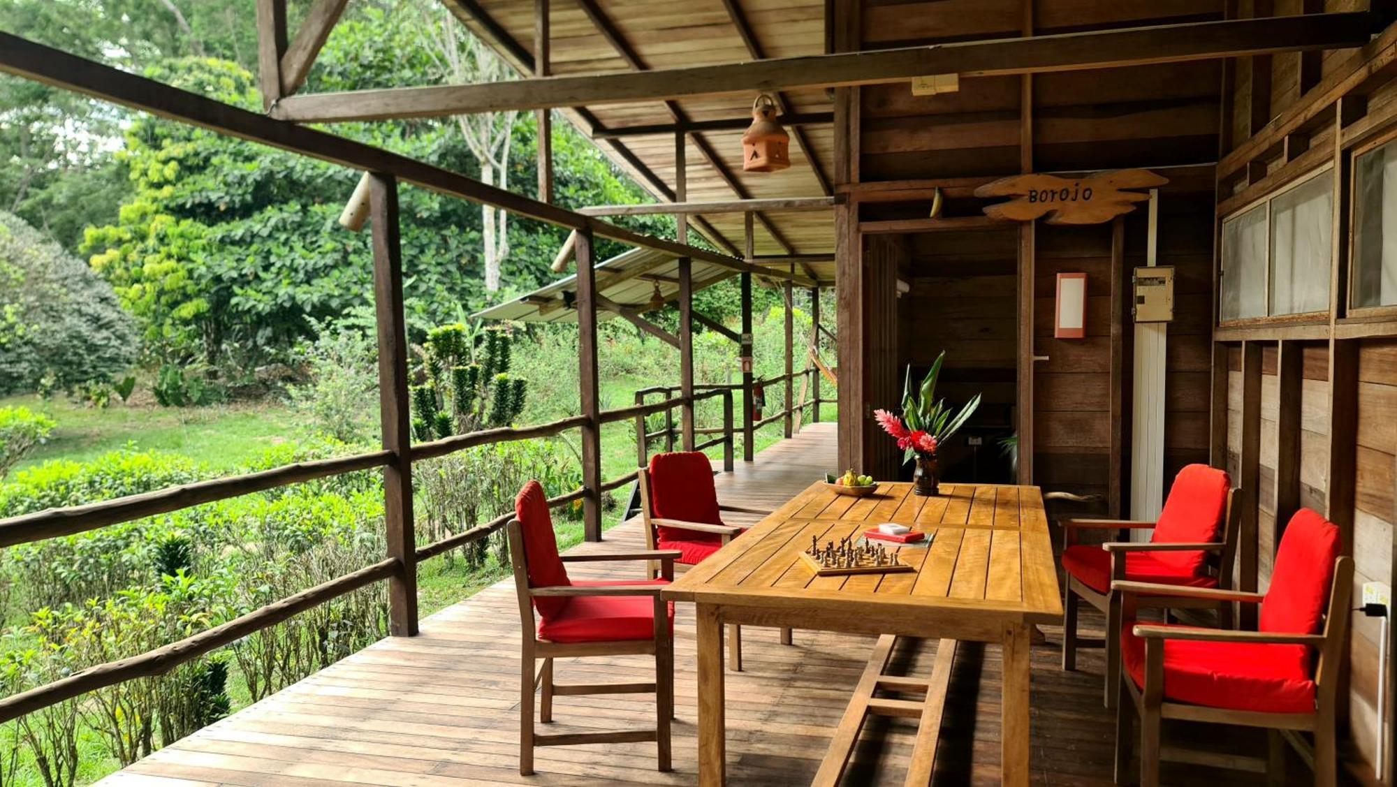 Hakuna Matata Amazon Lodge Archidona Luaran gambar