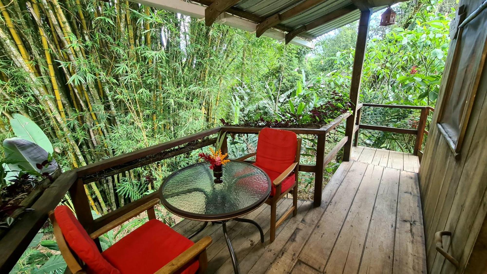 Hakuna Matata Amazon Lodge Archidona Luaran gambar
