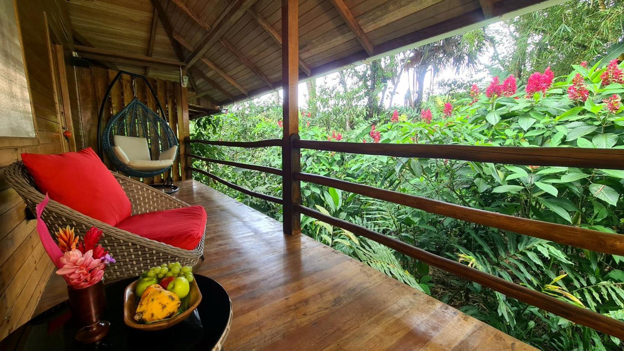 Hakuna Matata Amazon Lodge Archidona Luaran gambar