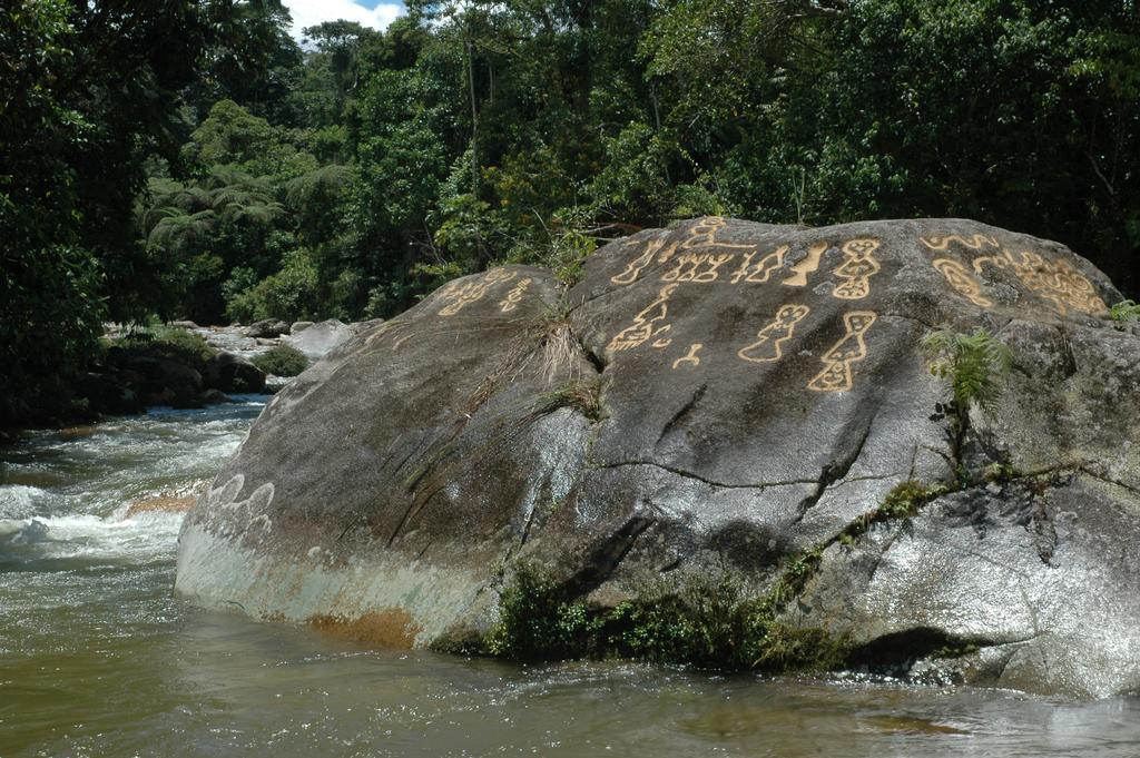 Hakuna Matata Amazon Lodge Archidona Luaran gambar