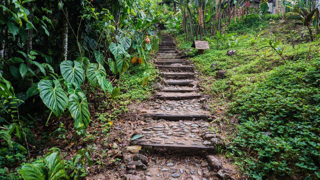 Hakuna Matata Amazon Lodge Archidona Luaran gambar