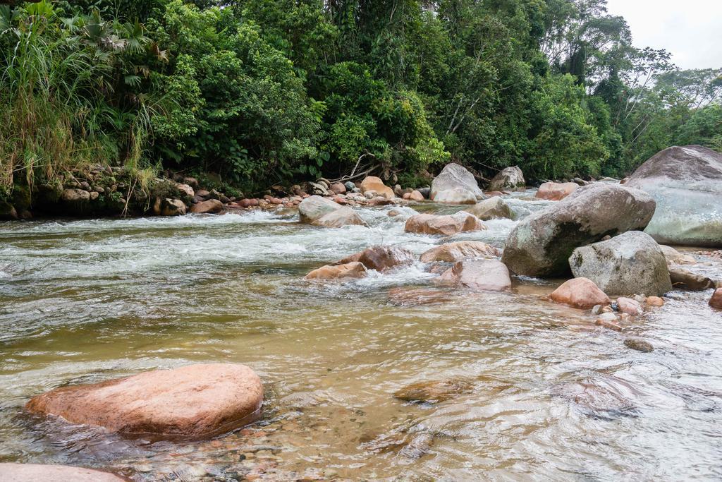 Hakuna Matata Amazon Lodge Archidona Luaran gambar